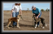 img025 * 800 x 482 * (157KB)