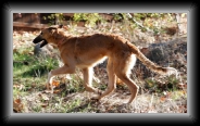 img_9233 * 800 x 461 * (118KB)