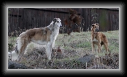 img_9386 * 800 x 441 * (98KB)