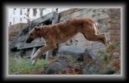 img_9392 * 800 x 474 * (73KB)