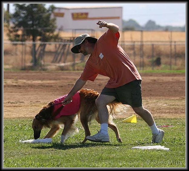 You have reached the last slide