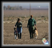 December 2006 * Dino Coursing * (12 Slides)