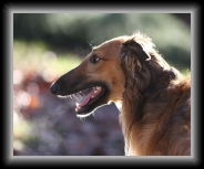 dm_26778 * 800 x 646 * (118KB)