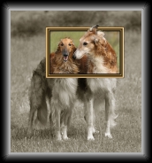dm_34204a * 593 x 640 * (111KB)