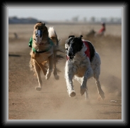 dm_62922 * 800 x 781 * (131KB)