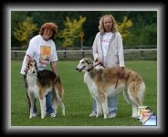 May 2006 * Pictures of Kachina-Valeska Shalako Dancer Indy at the Borzoi Nationals * (2 Slides)