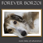 Being Borzoi