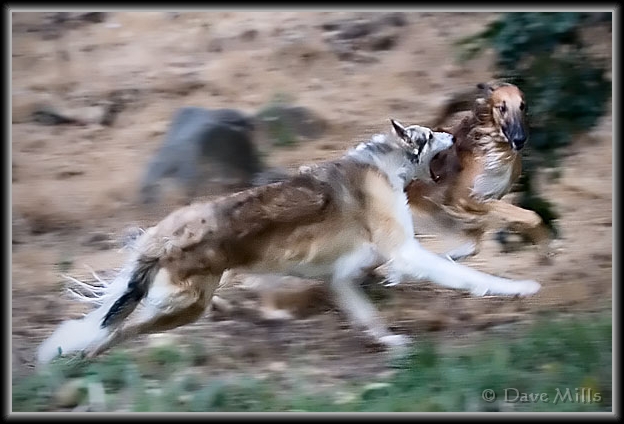 You have reached the last slide